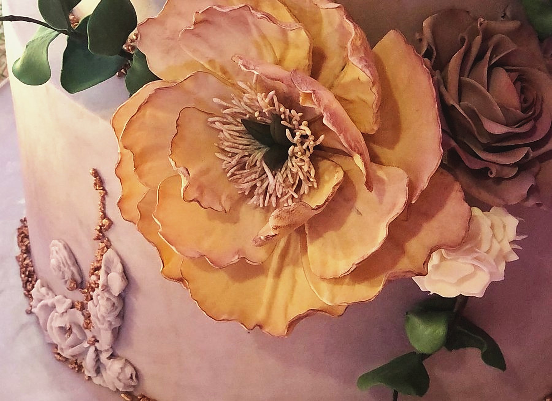 Sugar open bloom, apricot
