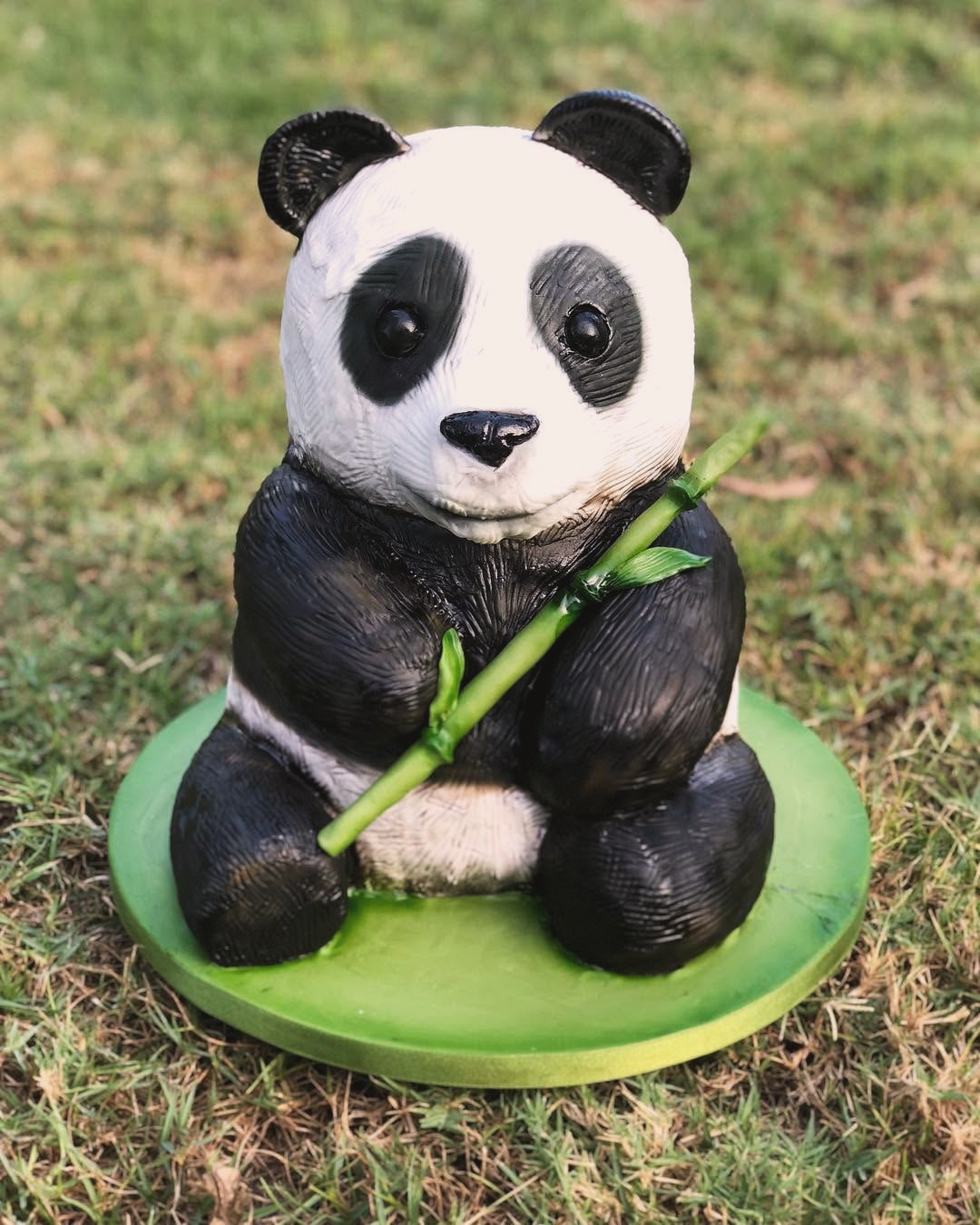 The Panda
